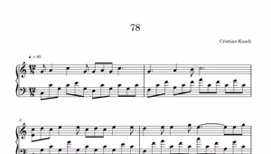 Cover for Piece 78